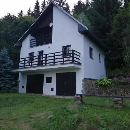 Chata na Lipně Lipno nad Vltavou Exteriér fotografie